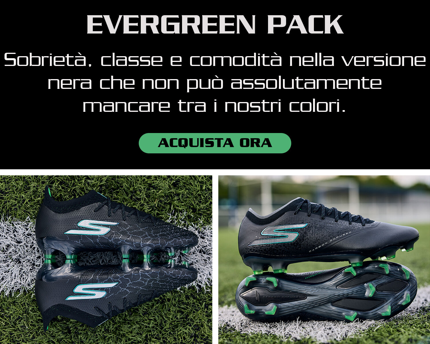 Evergreen Pack